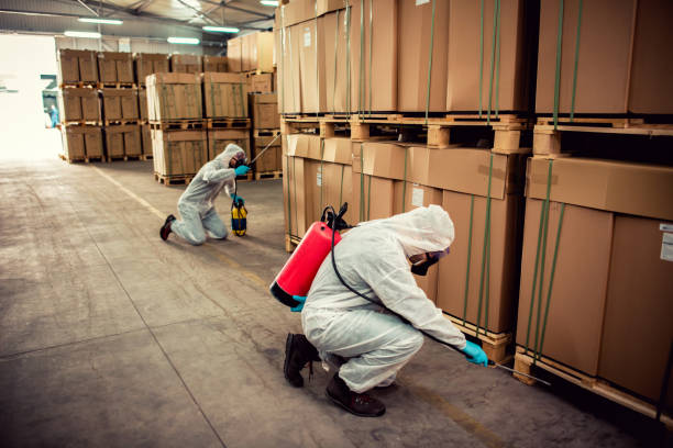 Best Pest Prevention Services  in St Paul, NE
