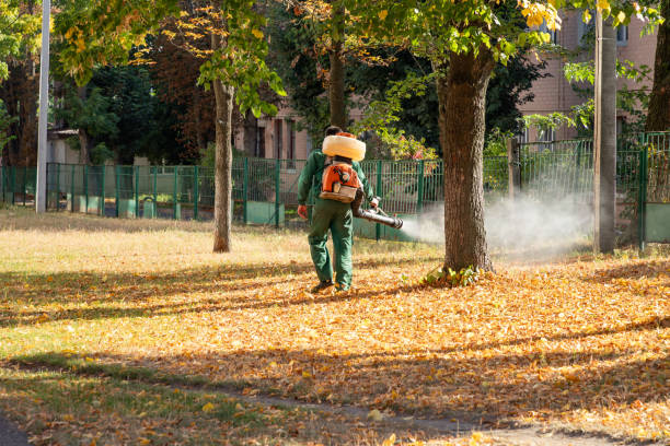 Best Pest Prevention Services  in St Paul, NE