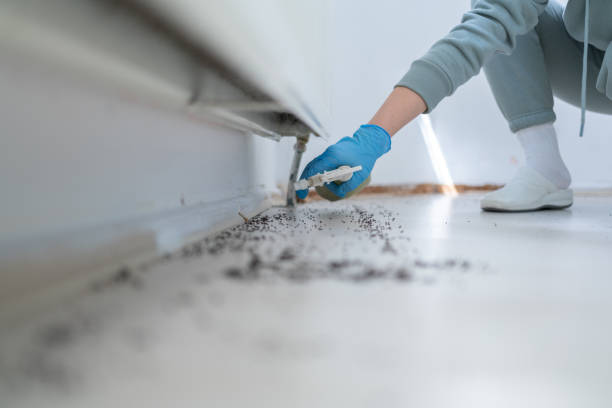 Best Pest Removal Services  in St Paul, NE